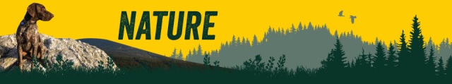 JOSERA Active Nature (Fleisch & Reis) JOSERA ACTIVE NATURE FLEISCH & REIS (ЙОЗЕРА АКТИВ НЕЙЧЕР) сухой корм для активных собак /с мясом птицы и ягненка/