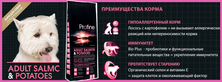 Profine Adult Salmon & Potatoes 