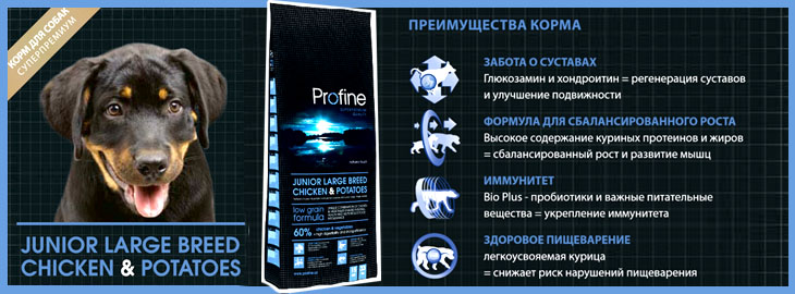 (Профайн) JUNIOR LARGE BREED CHICKEN & POTATOES JUNIOR LARGE BREED CHICKEN & POTATOES