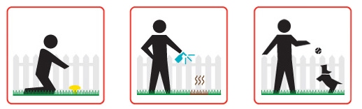 Yard odor away Hose spray concentrate можно купить у нас в зоомагазине!!!