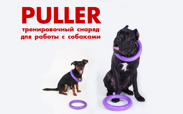 PULLER – УНИВЕРСАЛЬНЫЙ ПОМОЩНИК В РЕШЕНИИ ПРОБЛЕМ С ВАШЕЙ СОБАКОЙ