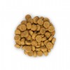 Сухой корм для взрослых кошек с курицей Hill's Science Plan Feline Adult Optimal Care | Petplus Сухой корм для взрослых кошек с курицей Hill's Science Plan Feline Adult Optimal Care | Petplus