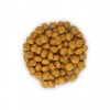 Hill's SP Feline Adult Perfect Weight - корм для кішок, схильних до набору зайвої ваги / з куркою