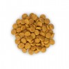 Сухой корм для кошек старшего возраста с курицей Hill's Science Plan Feline Mature Adult 7+ Active Longevity - Petplus Сухой корм для кошек старшего возраста с курицей Hill's Science Plan Feline Mature Adult 7+ Active Longevity - Petplus
