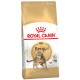 Royal Canin Bengal Adult - корм для котов породы «Бенгал» Royal Canin Bengal Adult - корм для котов породы «Бенгал»