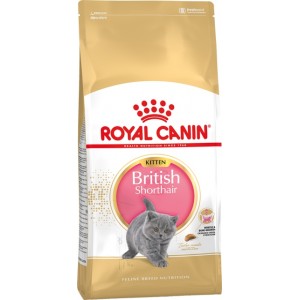 Royal Canin Kitten British Shorthair (Британский короткошерстный котенок)