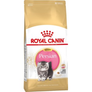 Royal Canin Kitten Persian ☆ Персидский котенок Royal Canin Kitten Persian ☆ Персидский котенок