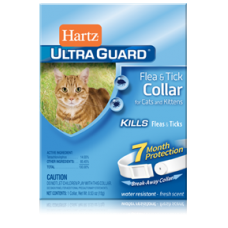 Hartz UltraGuard Flea & Tick Collar for Cats and Kittens ★ Ошейник от блох и клещей для кошек и котят на 7 месяцев (белый) Hartz UltraGuard Flea & Tick Collar for Cats and Kittens ★ Ошейник от блох и клещей для кошек и котят на 7 месяцев (белый)