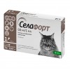 : Селафорт (Selafort) для кішок - безпечний та ефективний протипаразитарний лікарський препарат : Селафорт (Selafort) для кішок - безпечний та ефективний протипаразитарний лікарський препарат