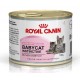 Royal Canin Babycat Instinctive - ніжний поживний мус для кошенят Royal Canin Babycat Instinctive - ніжний поживний мус для кошенят