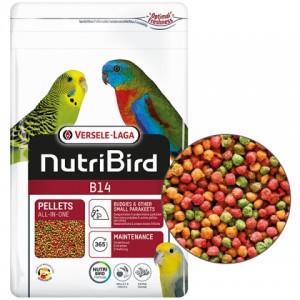 Сбалансированный полноценный корм для небольших попугаев «Versele-Laga NutriBird В14» с пребиотиком для хорошего пищеварение | Petplus Сбалансированный полноценный корм для небольших попугаев «Versele-Laga NutriBird В14» с пребиотиком для хорошего пищеварение | Petplus
