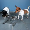 Trixie Bowl for Dogs Bar – миска на подставке для собак Trixie Bowl for Dogs Bar – миска на подставке для собак