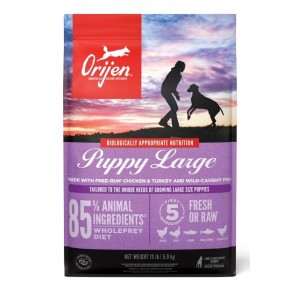 Orijen Puppy Large Breed - корм для цуценят великих порід (м'ясо 85% + овочі та фрукти 15%) - Petplus Orijen Puppy Large Breed - корм для цуценят великих порід (м'ясо 85% + овочі та фрукти 15%) - Petplus