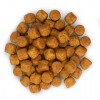 Корм Hills SP Adult Large Breed з куркою для великих порід собак - купити в зоомагазині Petplus Корм Hills SP Adult Large Breed з куркою для великих порід собак - купити в зоомагазині Petplus