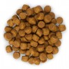 Сухой корм Hill's SP Puppy Medium Breed Lamb & Rice сухой корм для щенков средних пород с ягненком и рисом Сухой корм Hill's SP Puppy Medium Breed Lamb & Rice сухой корм для щенков средних пород с ягненком и рисом