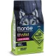 Monge BWild Low Grain Adult Wild Boar All Breeds - сухой низкозерновой корм для собак с диким кабаном Monge BWild Low Grain Adult Wild Boar All Breeds - сухой низкозерновой корм для собак с диким кабаном