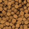 Полнорационный полувлажный корм для взрослых собак с мясом рыбы «Oven-Baked Tradition Semi-Moist Adult Fish» изготовлен из натуральных ингредиентов | Пэтплюс Полнорационный полувлажный корм для взрослых собак с мясом рыбы «Oven-Baked Tradition Semi-Moist Adult Fish» изготовлен из натуральных ингредиентов | Пэтплюс