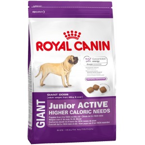 Royal Canin Giant Junior Active - корм для активных щенков старше 8 месяцев Royal Canin Giant Junior Active - корм для активных щенков старше 8 месяцев