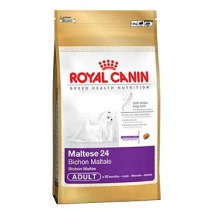 Royal Canin Maltese Мальтийская болонка взрослая Royal Canin Maltese Мальтийская болонка взрослая