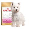 Royal Canin West Highland White Terrier сухой корм для взрослых собак Вест Хайленд Уайт Терьера