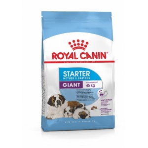 Royal Canin Giant Starter (щенки до 2 месяцев, беременные и кормящие суки) Royal Canin Giant Starter (щенки до 2 месяцев, беременные и кормящие суки)