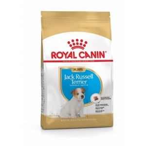 Royal Canin Jack Russel Terrier Puppy - корм Роял Канин для щенков Джек-рассел-терьеров Royal Canin Jack Russel Terrier Puppy - корм Роял Канин для щенков Джек-рассел-терьеров