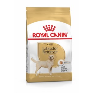 Royal Canin Labrador Retriever Adult (Лабрадор ретривер старше 15 месяцев) Royal Canin Labrador Retriever Adult (Лабрадор ретривер старше 15 месяцев)