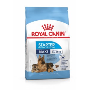 Royal Canin Maxi Starter (Корм для щенков до 2-х месяцев, беременных и кормящих сук) Royal Canin Maxi Starter (Корм для щенков до 2-х месяцев, беременных и кормящих сук)