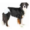 Trixie Diapers Female Dogs - подгузники для сук в период течки - интернет магазин зоотоваров Пэтплюс