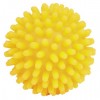 Купить игрушку для собак «Trixie Hedgehog Ball Dog Toy» | Трикси - Игра - Мяч - Ежик Винил | страна-производитель Германия | Petplus Купить игрушку для собак «Trixie Hedgehog Ball Dog Toy» | Трикси - Игра - Мяч - Ежик Винил | страна-производитель Германия | Petplus