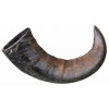 Trixie Buffalo Chewing Horn – рог буйвола для жевания собак Trixie Buffalo Chewing Horn – рог буйвола для жевания собак