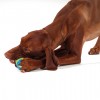 PETSTAGES Calming Treat Capsule ➢ Іграшка для собак і щенят «Капсула для ласощів»