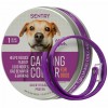 Sentry Calming Collar Good Dog (СЕНТРІ ГУД ДОГ) заспокійливий нашийник з феромонами для собак Sentry Calming Collar Good Dog (СЕНТРІ ГУД ДОГ) заспокійливий нашийник з феромонами для собак