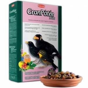 Padovan Granpatee fruits (корм для комахоїдних та плідних птахів)