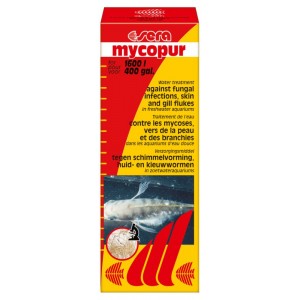 Sera мікопур (Sera mycopur) - Ефективний засіб для обробки води Sera мікопур (Sera mycopur) - Ефективний засіб для обробки води