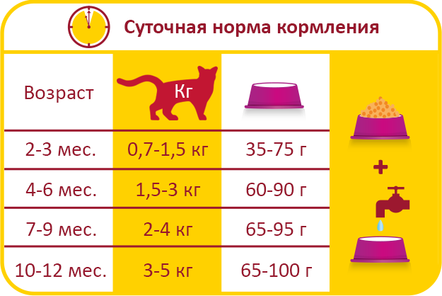 Норми годівлі для корму Лара Джуніор Lara Junior – це повноцінно збалансований корм на основі м'яса курки, який містить усі необхідні мікроелементи та вітаміни для молодого швидкозростаючого організму вашого вихованця