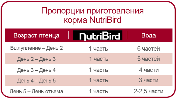 Нормы кормления кормом для птенцов Versele-Laga NutriBird A21 Почему стоит купить корм для птенцов Versele-Laga NutriBird A21