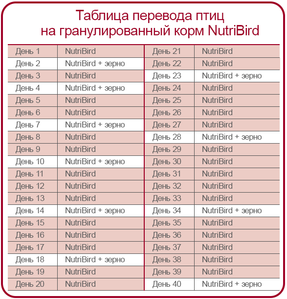 Практические советы для правильного перехода на NutriBird Корм представляет собой монохромные гранулы одинакового размера, изготовленные на основе отборных зерен, свежих фруктов и других компонентов с добавлением комплекса витаминов и минералов, необходимых для здоровья вашей птицы
